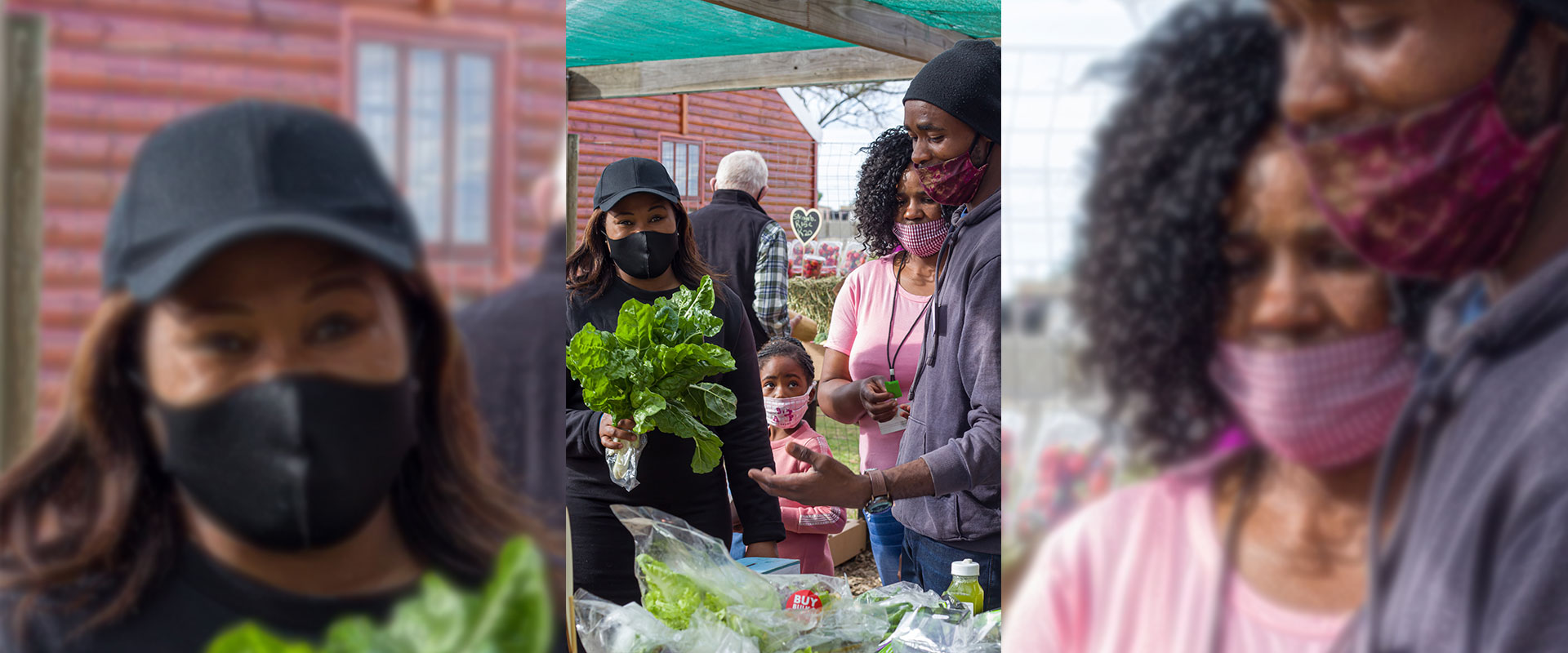 Life Community Market Day